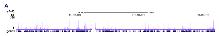 ChIP-seq figure A