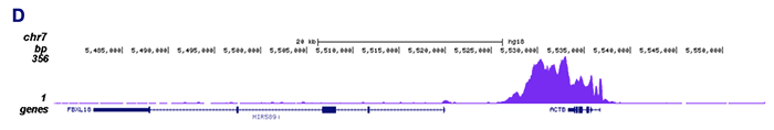ChIP-seq figure D