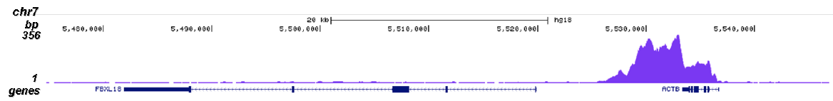 ChIP-seq