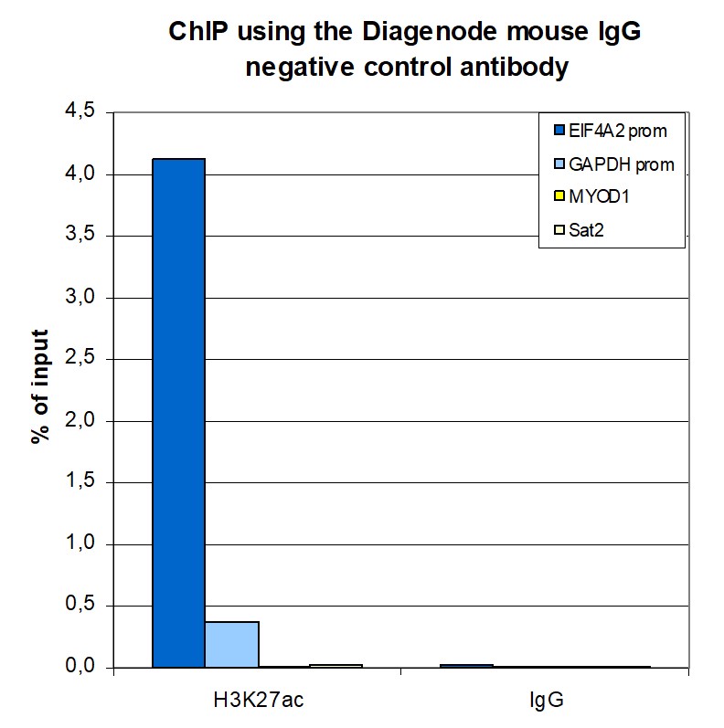 Mouse IgG Antibody ChIP Grade