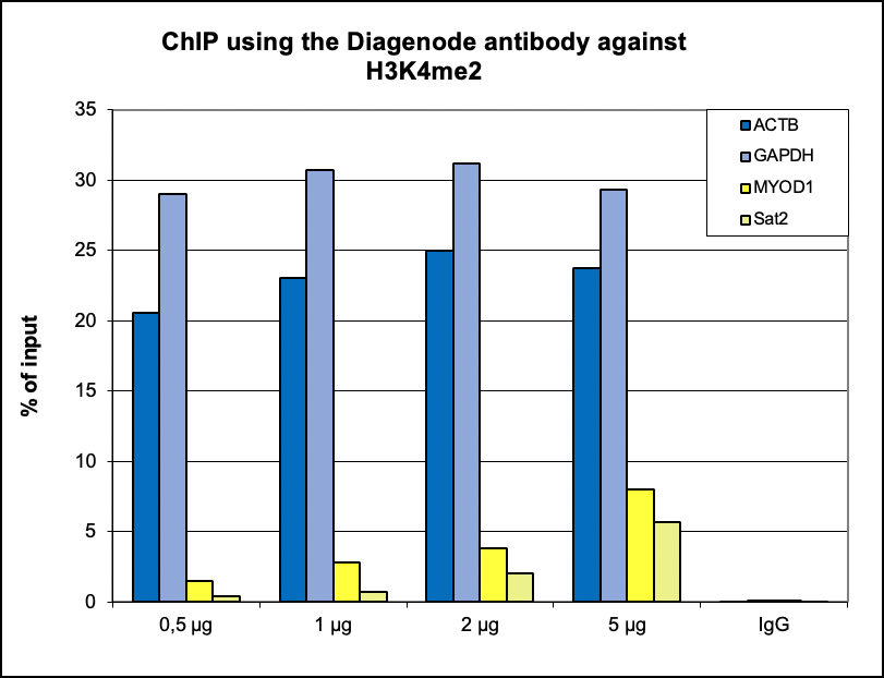 ChIP