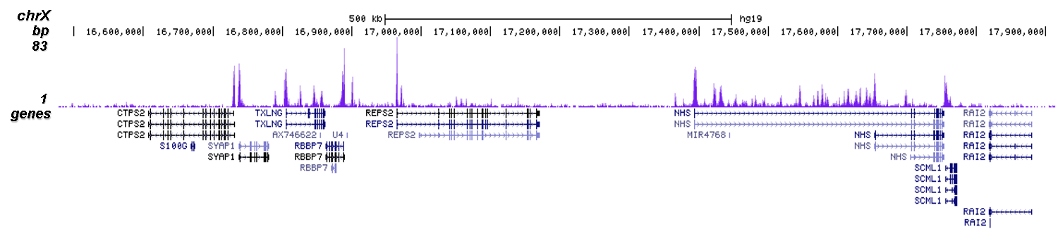 ChIP-seq