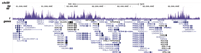 ChIP-seq figure C