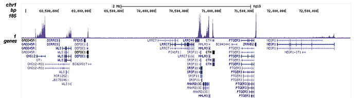 ChIP-seq figure B