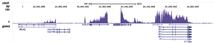 ChIP-seq figure C