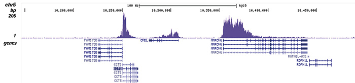 ChIP-seq figure D