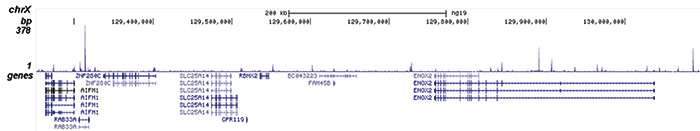 ChIP-seq figure B