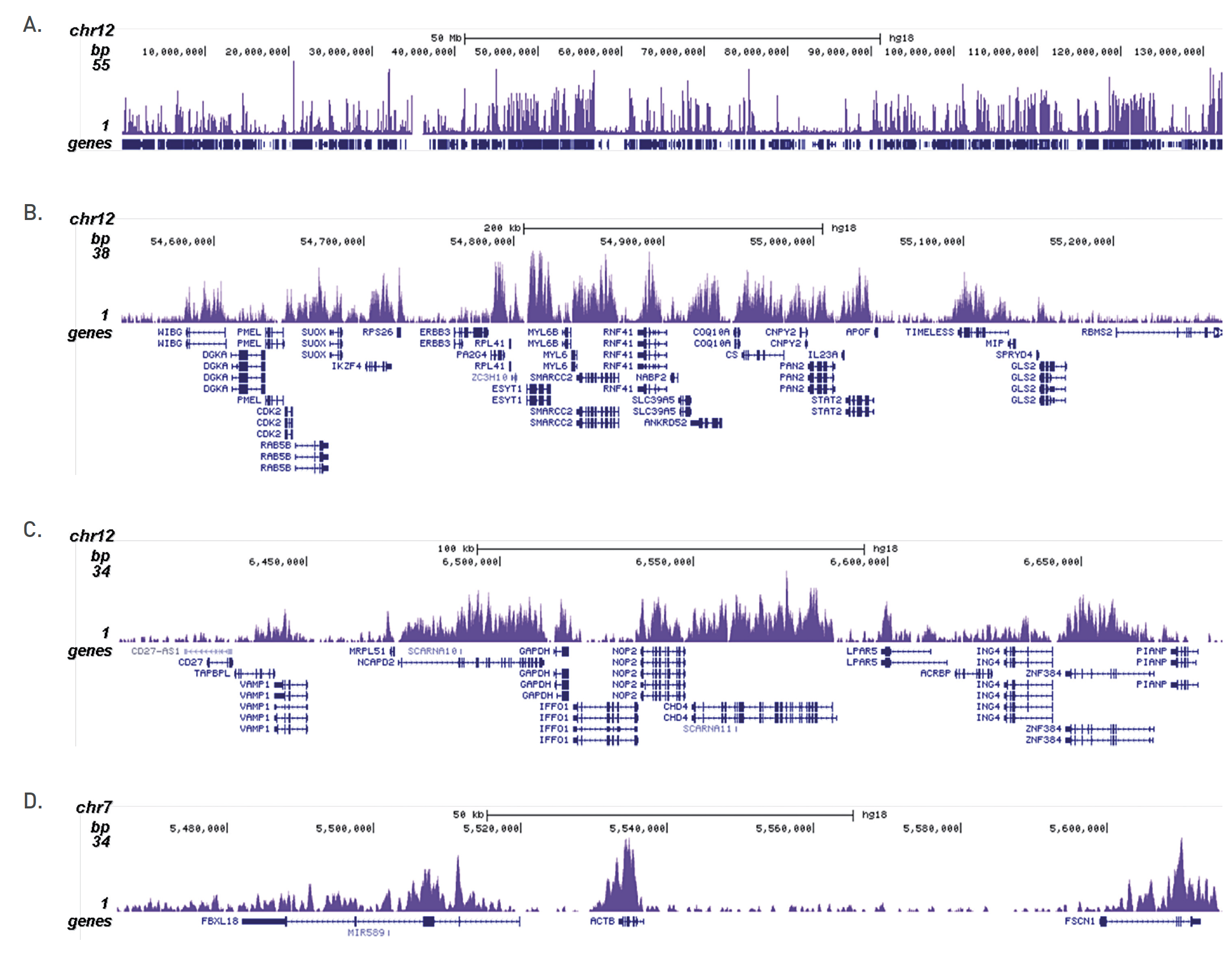 ChIP-seq figure A
