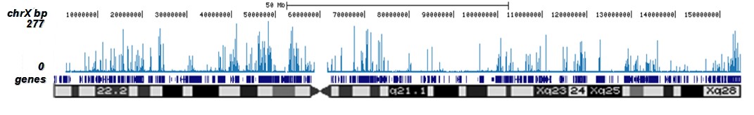 H3K9/14ac Antibody for ChIP-seq