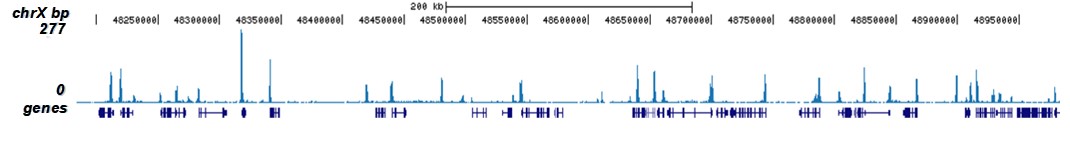 H3K9/14ac Antibody for ChIP-seq
