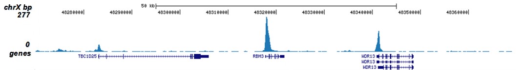 H3K9/14ac Antibody for ChIP-seq