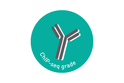 Antibody ChIP-seq grade icon